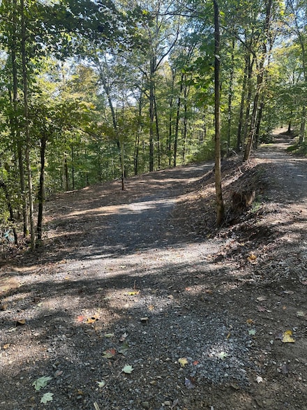 185 Sugar 2 Rd, Pointer, KY 42544