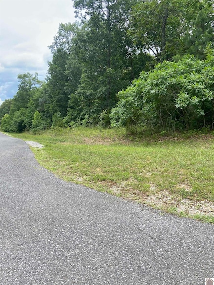 Lot 131 Deepwood Dr, Murray, KY 42071