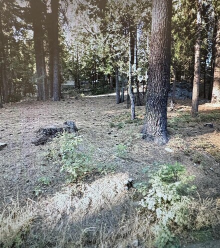 41255 Timber Dr, Shaver Lake, CA 93664