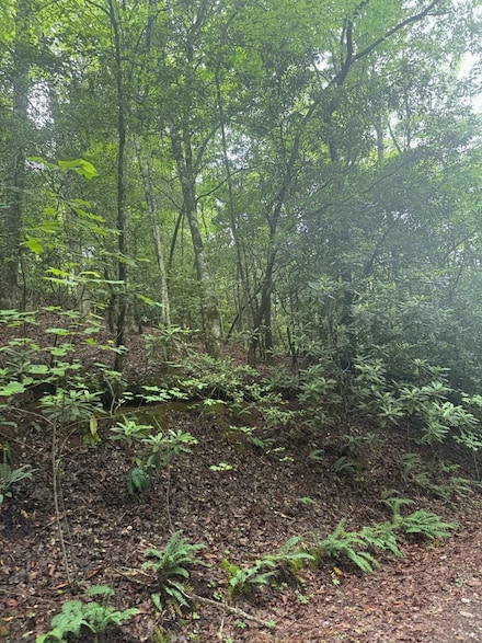 0 Willow Pond Rd Unit 26041420, Franklin, NC 28734