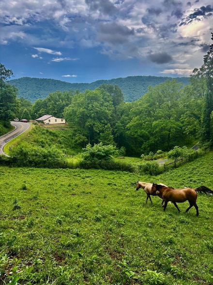 1533 Veterans Rd, Tannersville, VA 24377