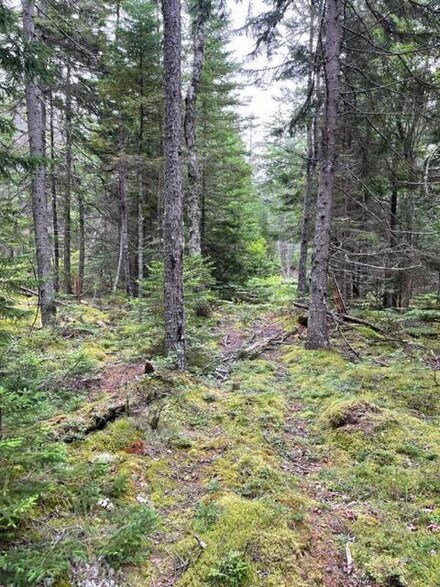 140 Pequot Rd, Vinalhaven, ME 04863