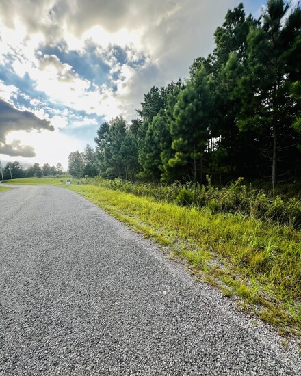 1750 Browns Trace Rd, South Pittsburg, TN 37380