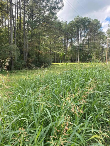 Lot 6 Marshall Town St, Parsons, TN 38363