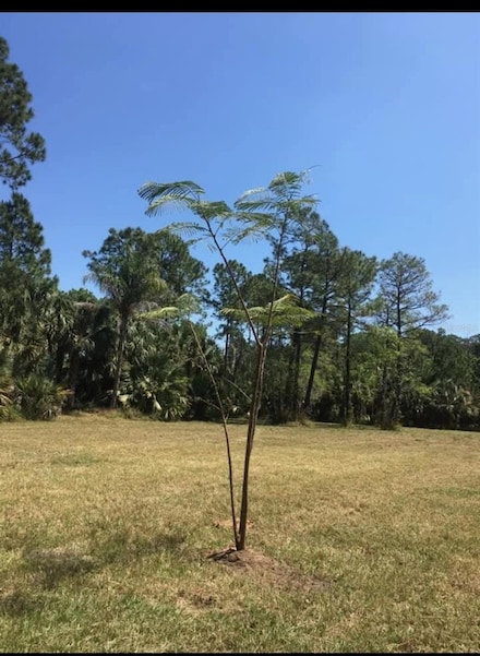 2370 Thacker Trail, Kissimmee, FL 34747