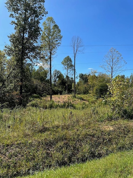0 Flat Creek St, Madisonville, KY 42431
