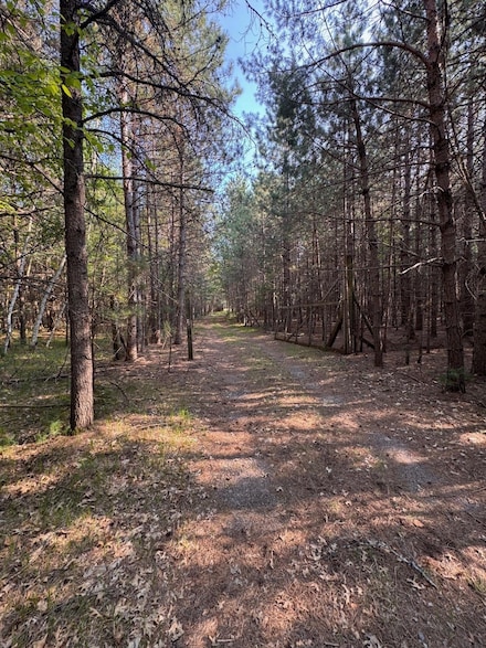 9851 Country Lane Rd, Woodruff, WI 54568