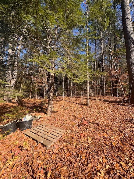 00 Newbury Rd Unit 764-534, Sutton, NH 03260