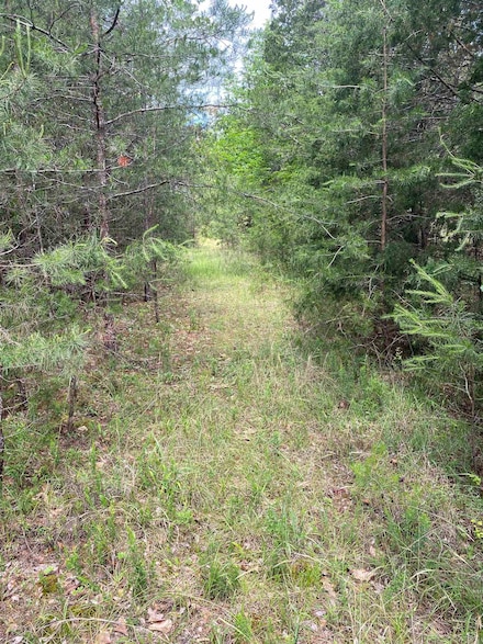 0 Old River Rd, Pacolet, SC 29372