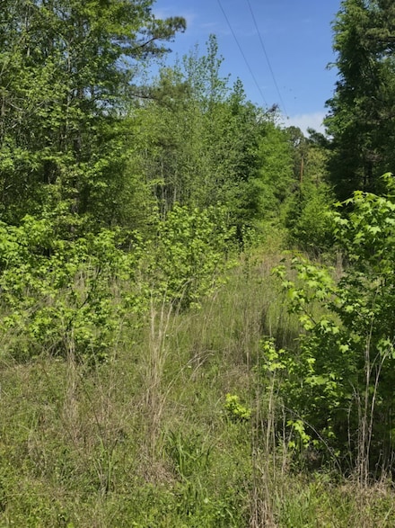 TBD County Road 421, Tyler, TX 75704