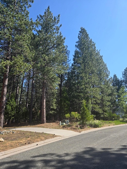 Unit 3 Lot 21 Paul's Place Siskiyou Lake Highlands Unit 3, Mount Shasta, CA 96067