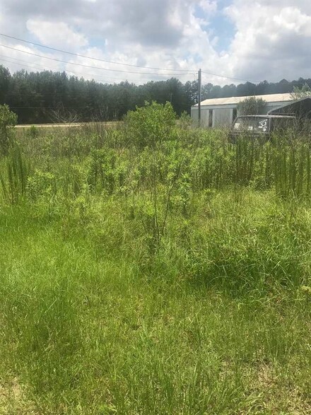 00 Hwy 84 E, Andalusia, AL 36421