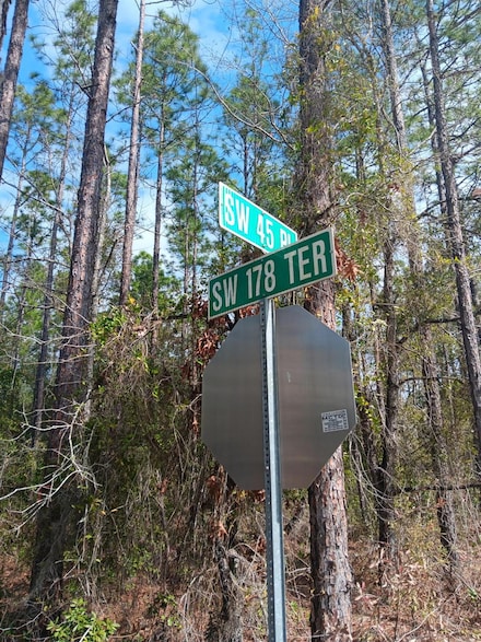 ### SW 178th Terrace, Dunnellon, FL 34432