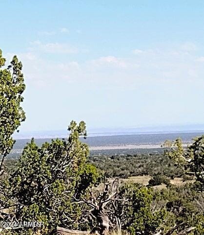 Lot 70 Red Sky Ranch -- Unit 70, Saint Johns, AZ 85936