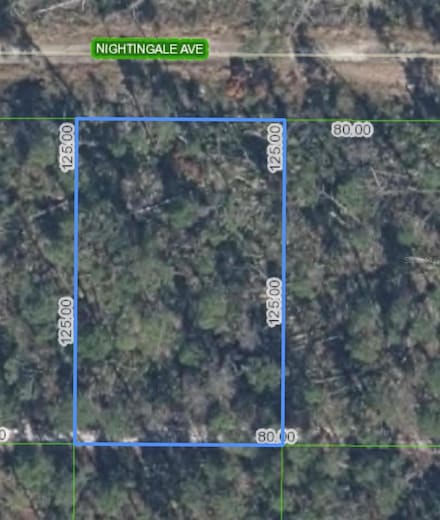 455 Nightingale Ave, Sebring, FL 33870