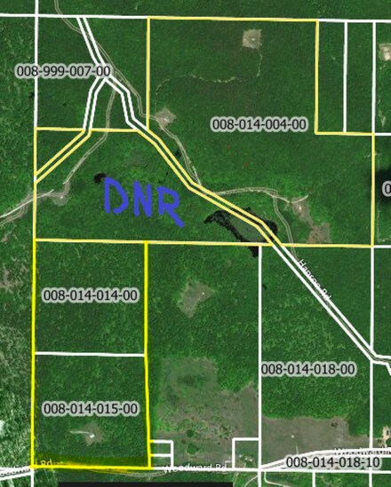 00 Woodward Rd, Vanderbilt, MI 49795
