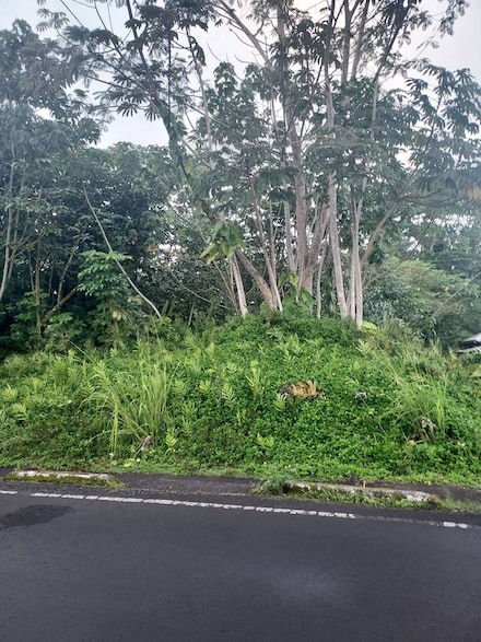 15-714 Kahakai Blvd, Pahoa, HI 96778