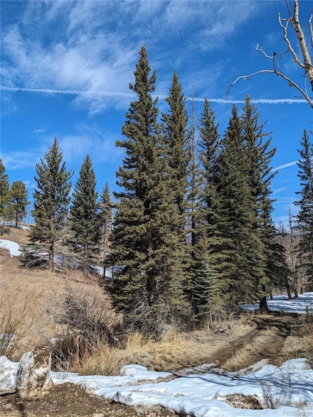 60 Powder Horn Trail, Bellvue, CO 80512