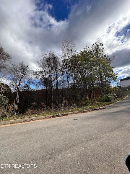 0 Highview Ln Unit 1283497, Knoxville, TN 37931