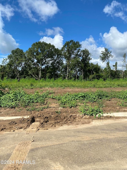 121 Leaning Oak Dr, Lafayette, LA 70508