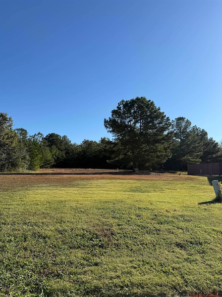 118 Riverview Dr, Sheffield, AL 35660