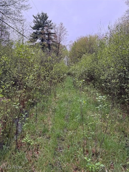 0 Durst Dr, Bazetta Township, OH 44410