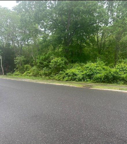 317-319 W Main St, Cape May Ch, NJ 08210