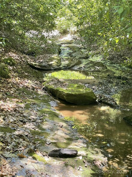 0 E Green Creek Dr, Tryon, NC 28782