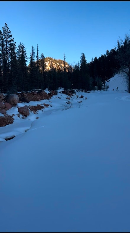 0 Cedar Mountain Ashdown Gorge Unit 109712, Cedar City, UT 84720