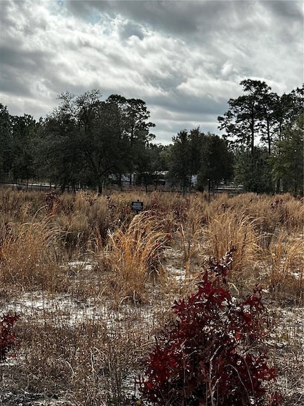 TBA SW 93rd Place, Dunnellon, FL 34432