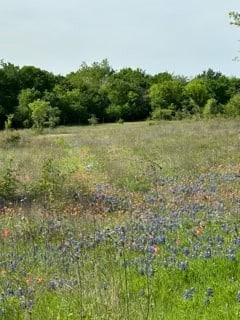 35 Longview Creek Trail, Itasca, TX 76055