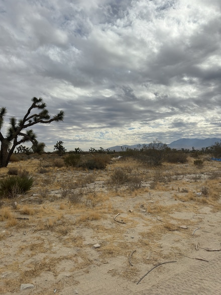 0 E Cor 116 Ste Unit S4 24009127, Sun Village, CA 93543