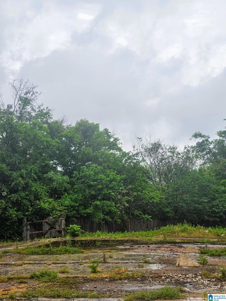 2806 Dartmouth Ave, Bessemer, AL 35020