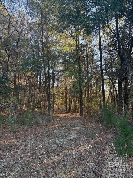 756 Ted Bates Rd, Evergreen, AL 36401
