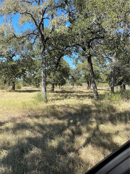 200 Hershal Ln, Cedar Creek, TX 78612