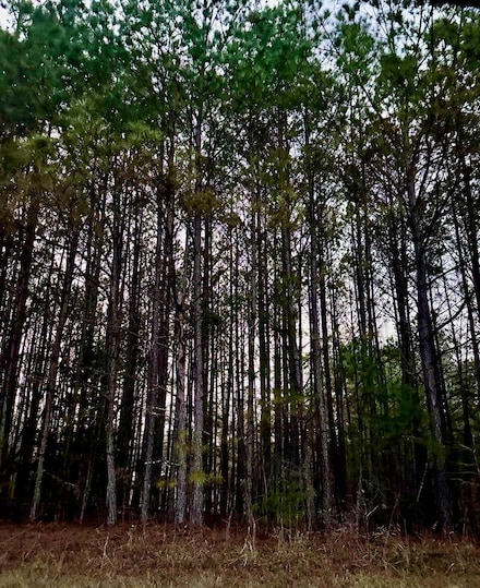 3230 Steadman Rd Unit 265, Tallapoosa, GA 30176