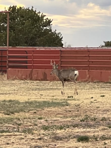 5606 New Mexico 55, Mountainair, NM 87036