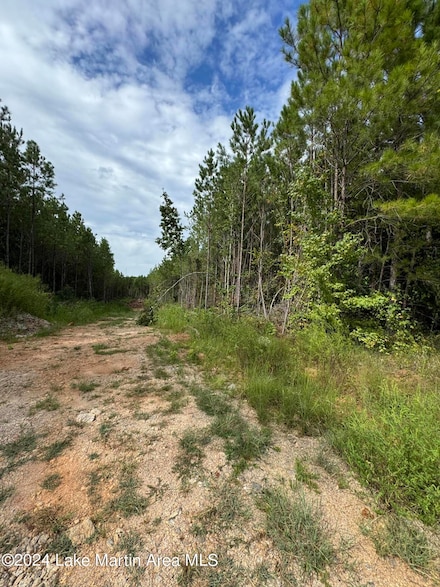 0 County Road 34 Parcel B, Dadeville, AL 36853