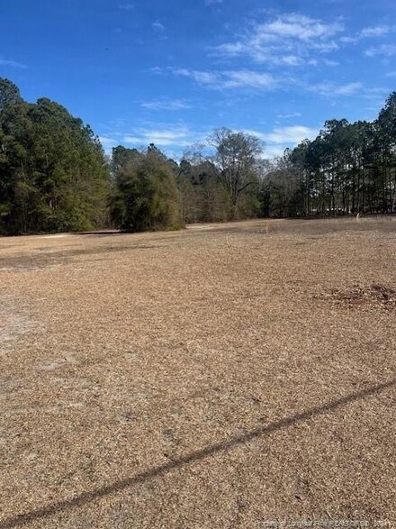 854 Magnolia Church Rd, Stedman, NC 28391
