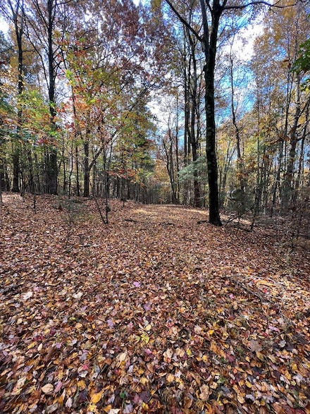 149-5-4 Stetson Rd, Galax, VA 24333