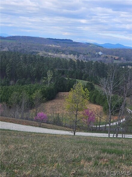 0 Grizzly Ln, Piney Mountain, VA 24522