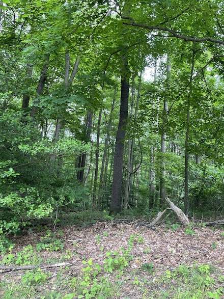 154 2nd Ave Unit 574-1755, Fayetteville, WV 25840