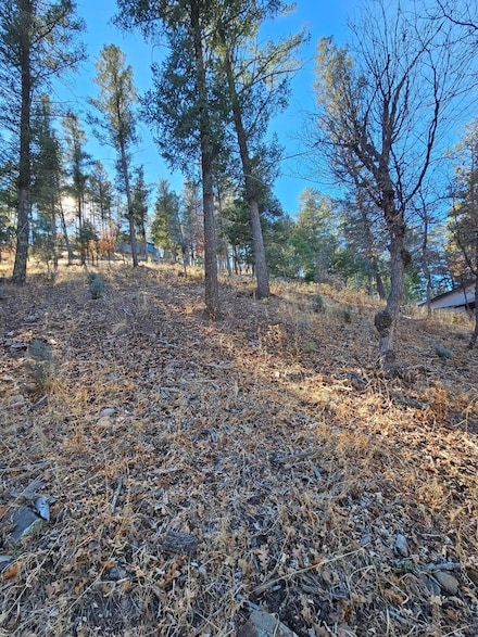 203 Perk Canyon Dr, Ruidoso, NM 88345