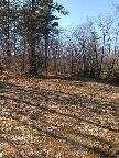 Lot 6 Bray Ridge Rd, Hiram, ME 04041