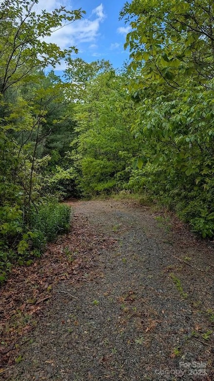 821 Turkey Pen Gap Rd, Horse Shoe, NC 28742