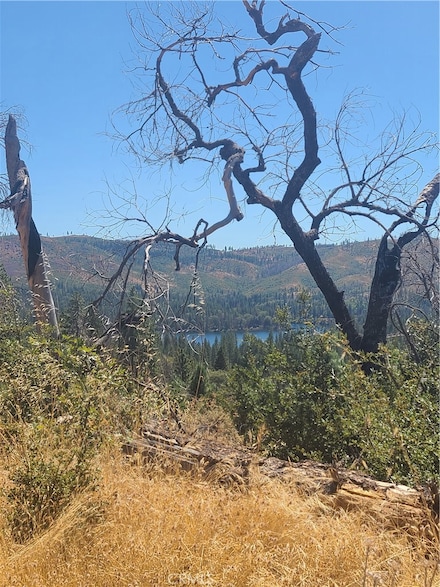 0 Hog Ranch Rd, Oroville, CA 95965