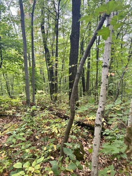 XXX Pebble Pass, Cushing, MN 56443