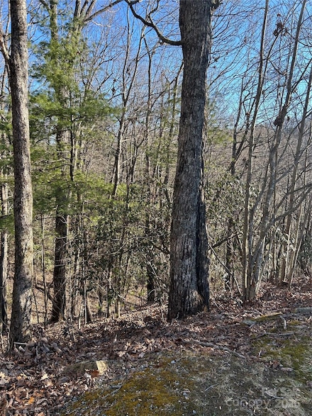 210 Thistlewynd Trail, Laurel Park, NC 28739