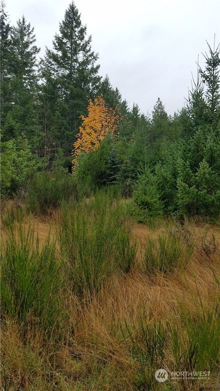 1140 1180 W California Rd, Shelton, WA 98584