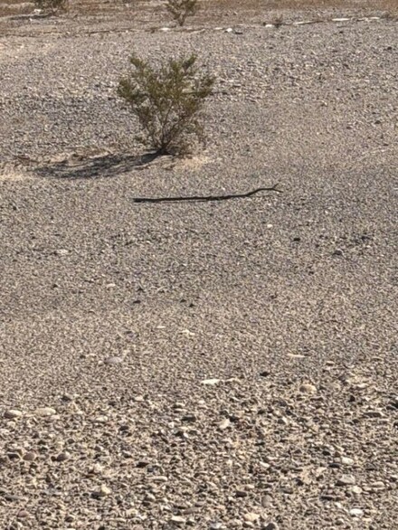 4070 Tierra Vista Dr, Yucca, AZ 86438